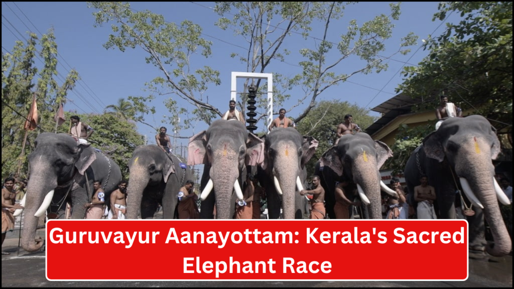 Guruvayur Aanayottam, Kerala's Sacred Elephant Race