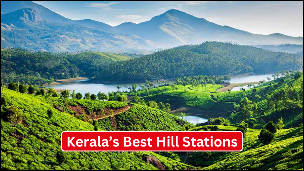 Kerala’s Best Hill Stations, Munnar, Wayanad, and More